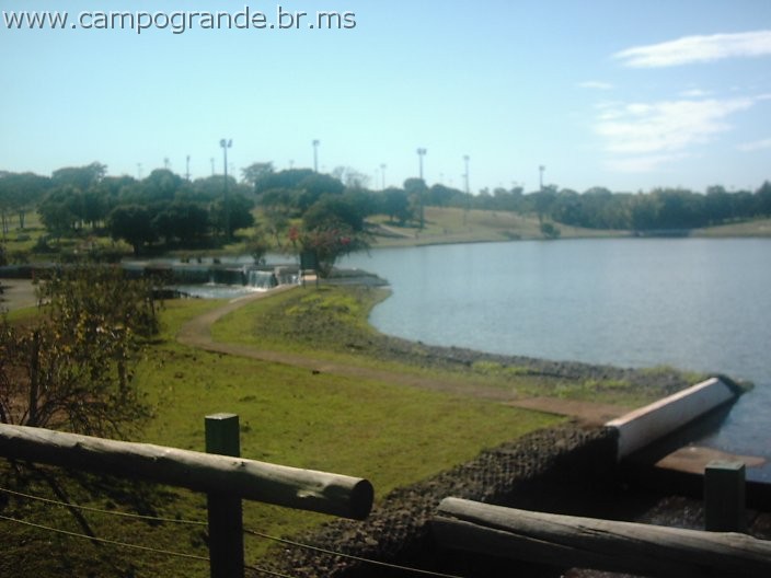 w.pantanal.br.ms-99.jpg