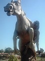 w.pantanal.br.ms-123