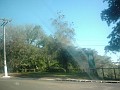 w.pantanal.br.ms-27