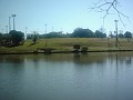 w.pantanal.br.ms-69