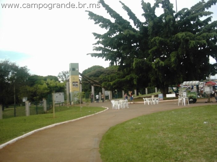 w.campogrande.br.ms-039.jpg