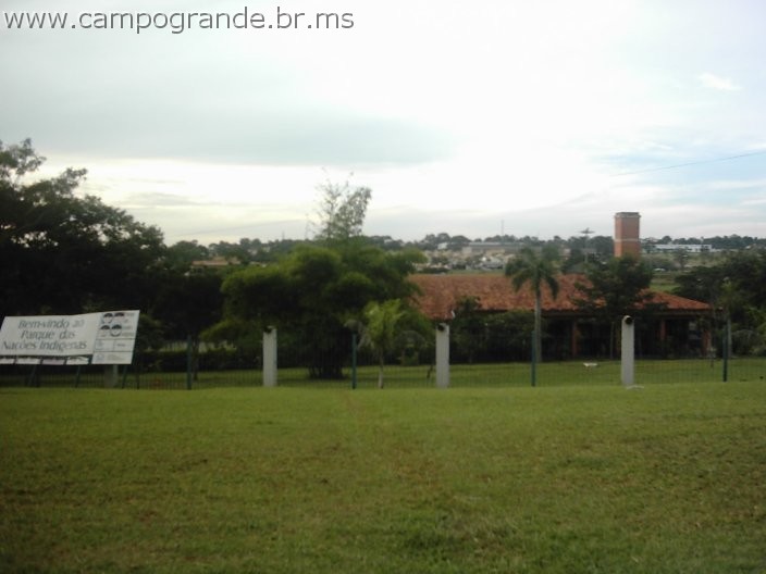 w.campogrande.br.ms-054.jpg
