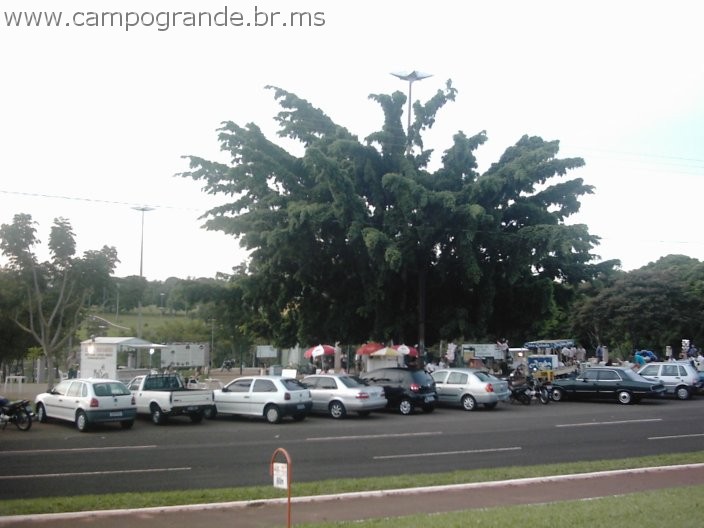 w.campogrande.br.ms-062.jpg