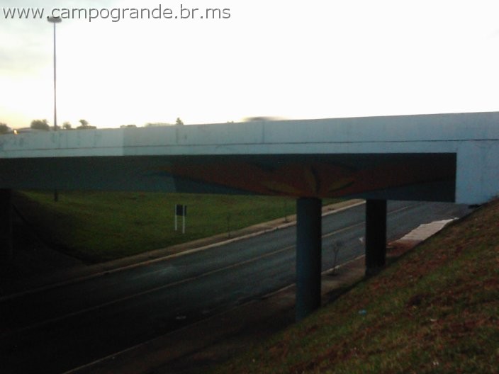 w.campogrande.br.ms-109.jpg