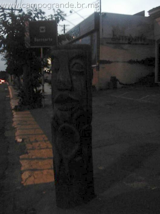 w.campogrande.br.ms-136.jpg