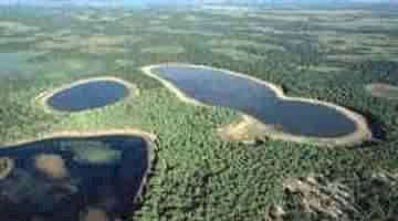 PANTANAL