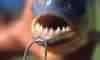 PIRANHA
