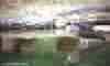 SOC� DORMINHOCO