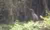SOC� BOI