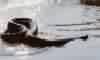 SUCURI