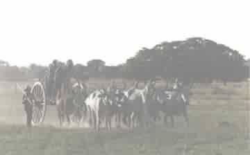 CARRET�O PANTANEIRO