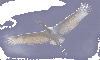 TUIUIS