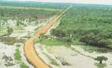 TRANSPANTANEIRA