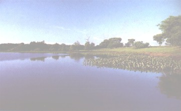 LAGOA