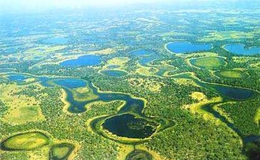 VISTA �EREA DO PANTANAL - ALAGADOS