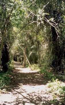 BARRA DO SUCURI - BONITO