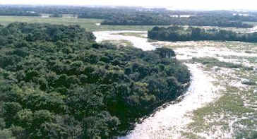 FAZENDA - BA�A DAS PEDRAS - MIRANDA
