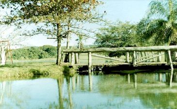 FAZENDA SEITA CORE - BONITO