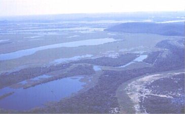 VISTA AEREA DO PANTANAL