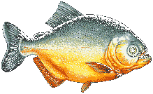 PIRANHA