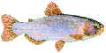 MATRINX�