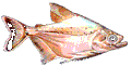 PIRAMBEVA