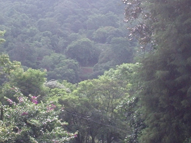Serra da Cantareira