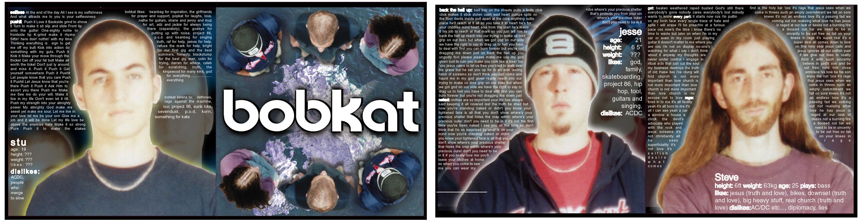 bobkat cd inlay