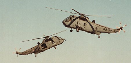 Sea King Acrobats