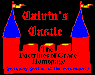 Calvin's Castle - Doctrines of Grace