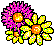 Charlotte's Logo Flowers Too!