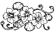Three Flowers To Color