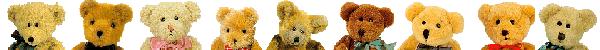 Our teddy's are waiting to give you a hug!
