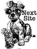 Next Site