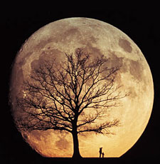 moon