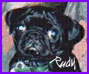 Rudy