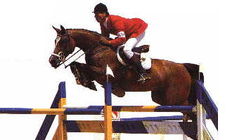 Showjumper picture I scanned and edited from Encyclopedia Of The Horse