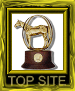 The Horse Source - GOLD award!