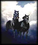 The English Horse WebRing