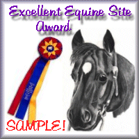 Excellent Equine Site Award 2