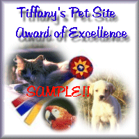 Pet Site Award