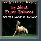 Top Notch Equine Brilliance