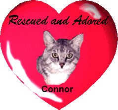 Rescued and Adored