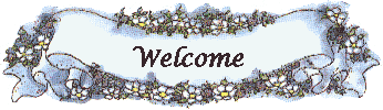 small daisy banner
