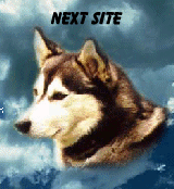 next site