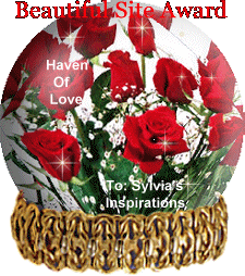 Beautiful Site Award