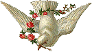 Dove