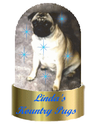 Kountry Pug Award