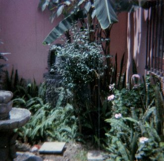 El jard�n