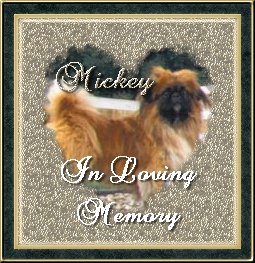 In Memory of Mickey